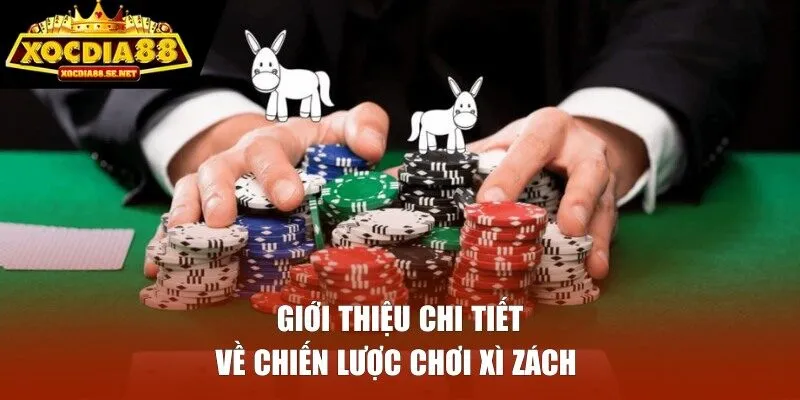 Giới thiệu chi tiết về chiến lược chơi Xì Zách