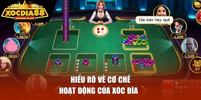 Hiểu rõ về cơ chế hoạt động của xóc đĩa